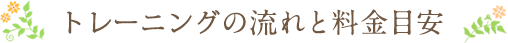 トレーニングの流れと料金目安